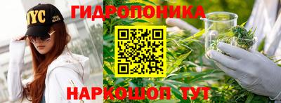 гидропоника Кинель