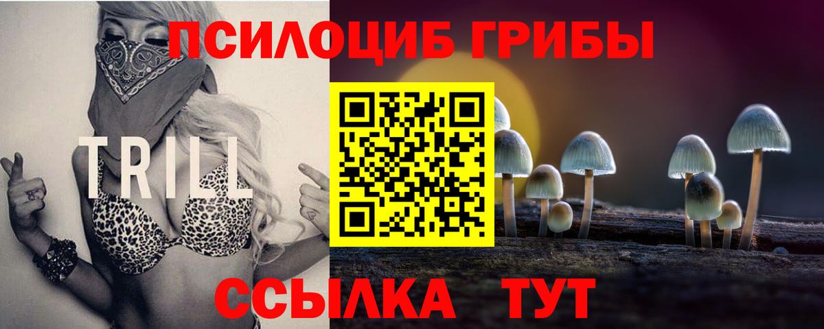 Галлюциногенные грибы мицелий Кыштым